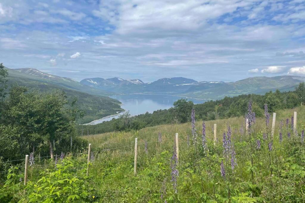 Fjellro Mountain *
