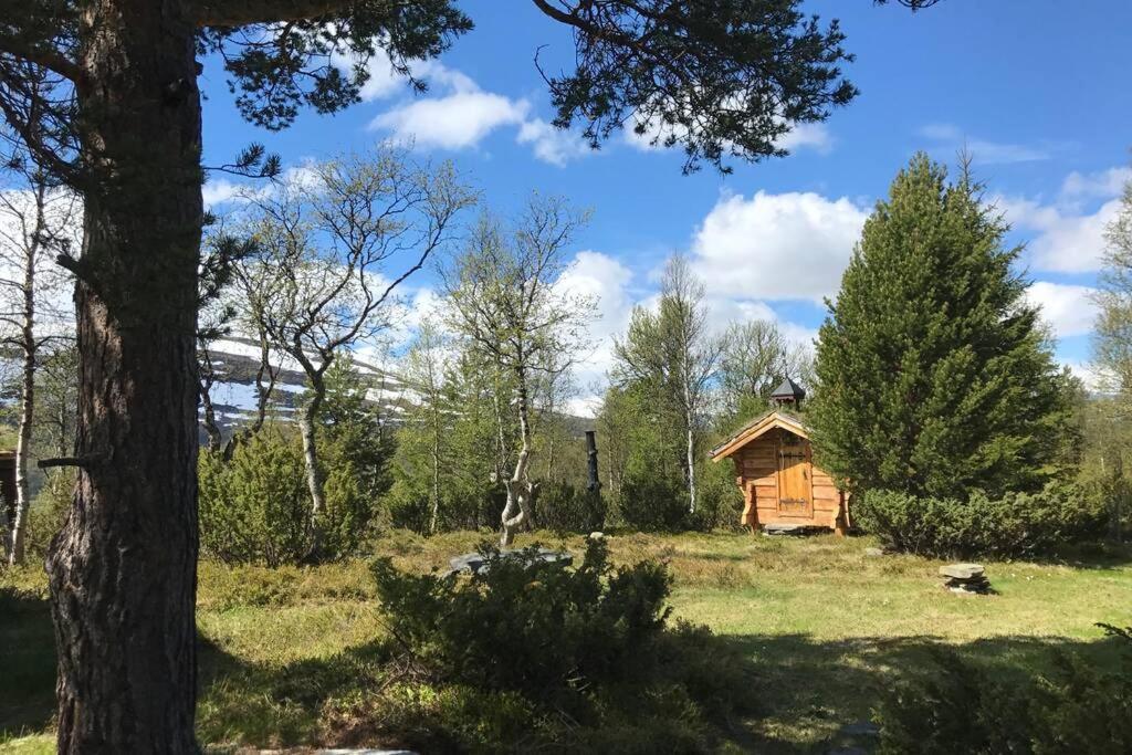 Fjellro Mountain Oppdal