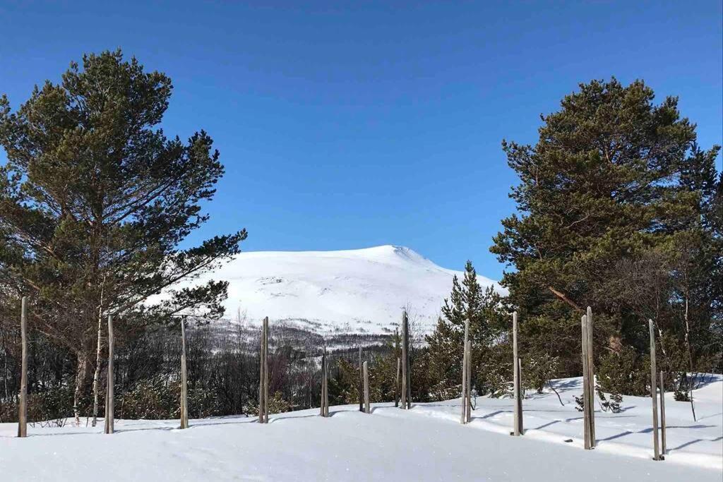 Fjellro Mountain