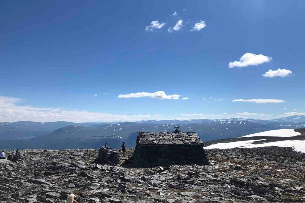 Fjellro Mountain * Oppdal